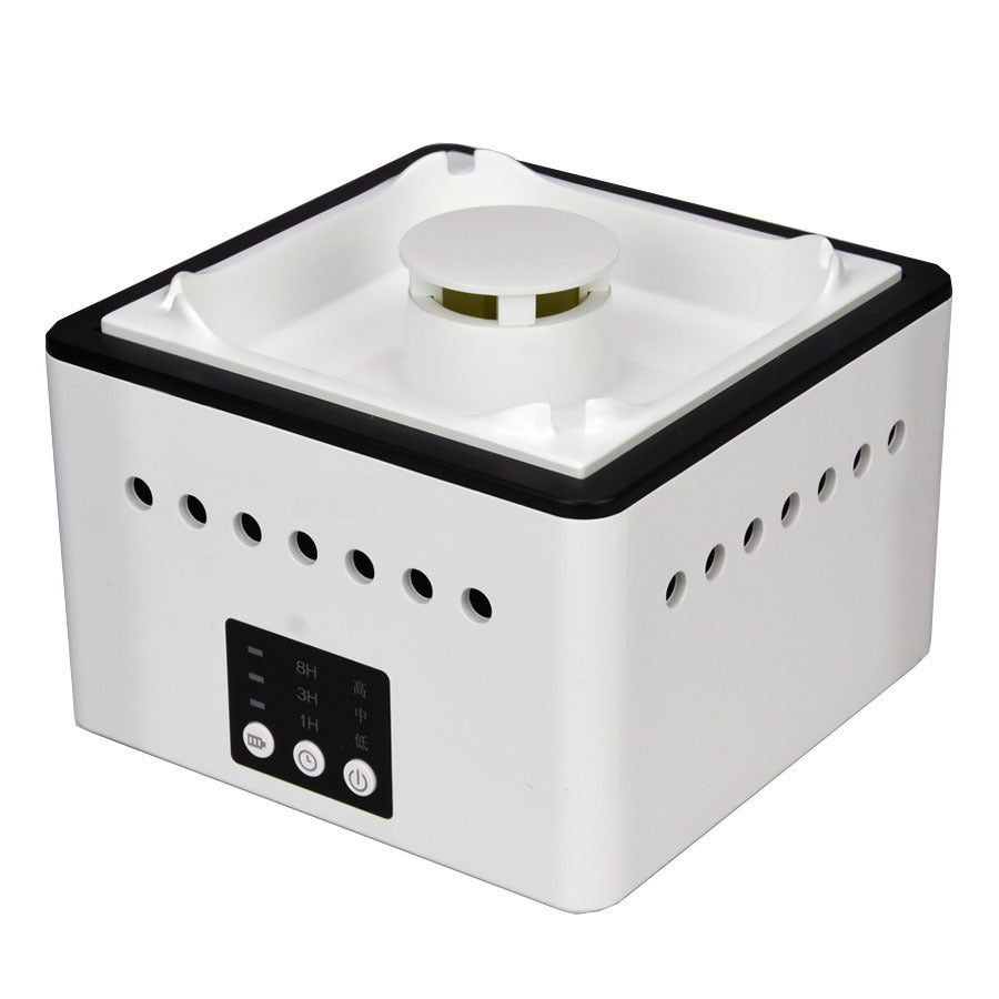 Multi-Functional Ashtray Air Purifier with Negative Ion Technology