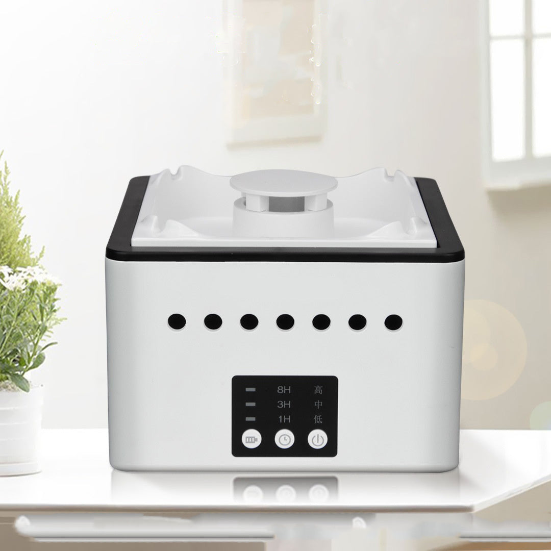 Multi-Functional Ashtray Air Purifier with Negative Ion Technology