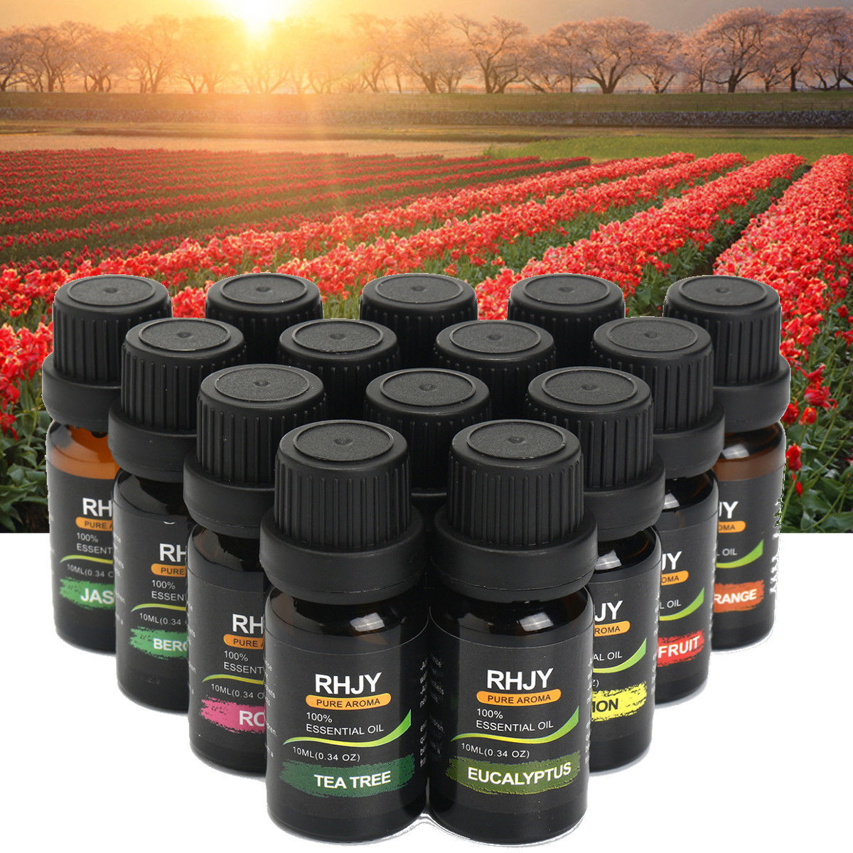 Pure Aroma Essential Oil Collection Set